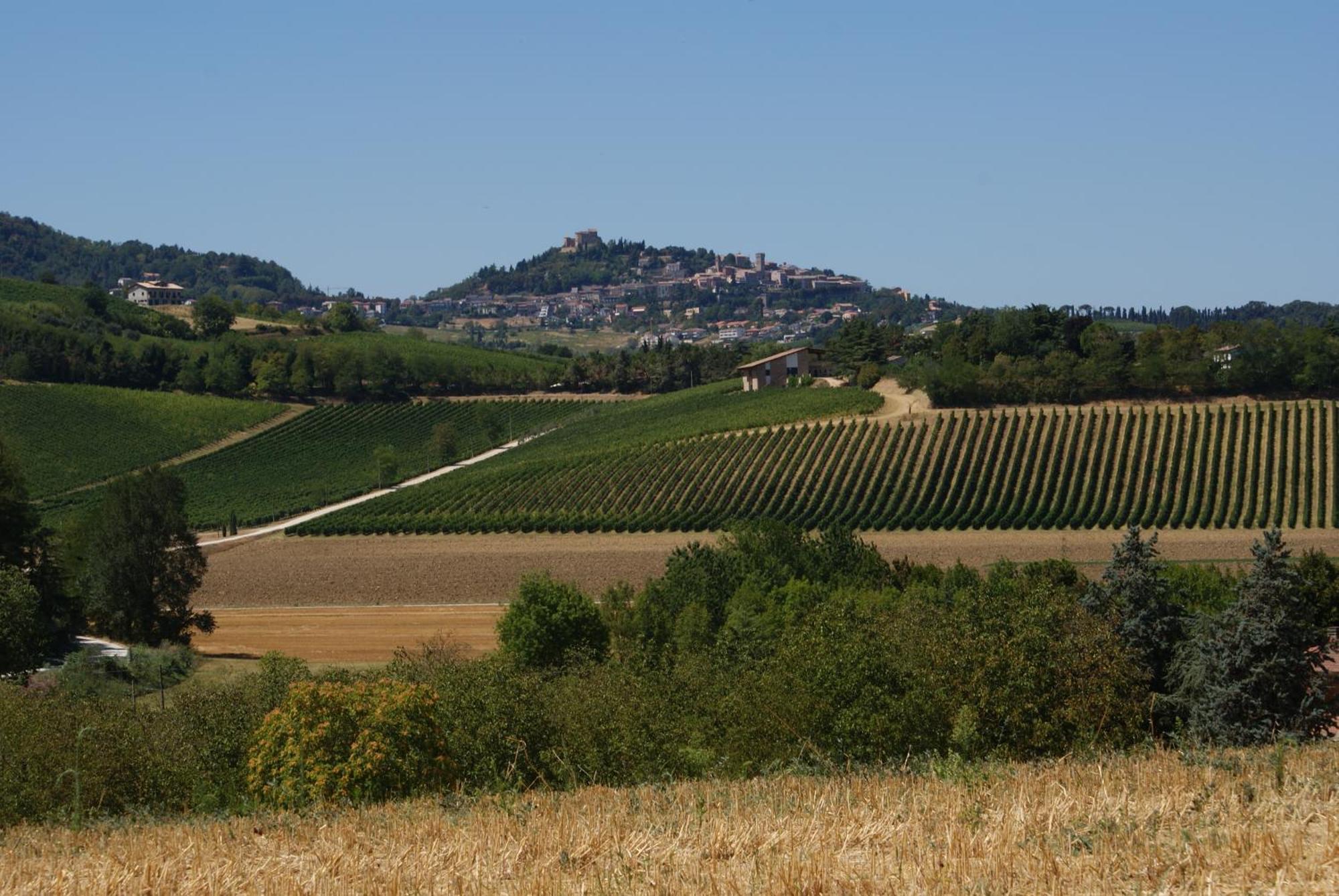 Agriturismo Al Colle Bertinoro Exterior foto